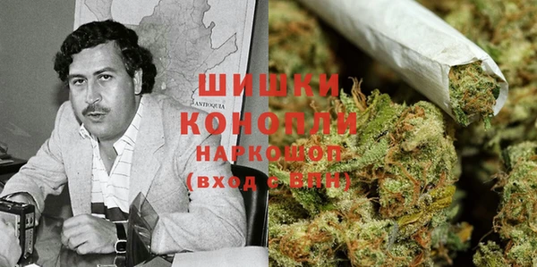 метадон Алексин