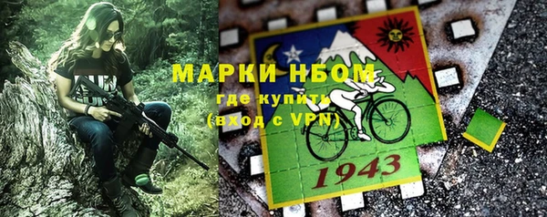 метадон Алексин