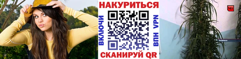 Бошки Шишки AK-47  Купить где  Дегтярск 